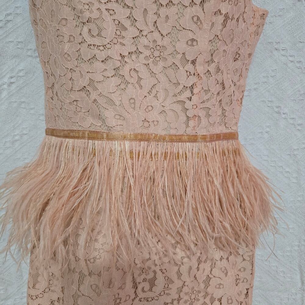 Revolve Endless Rose Lace Feather Replum Dress SZ Med NWT Apricot color coquette - Picture 3 of 11